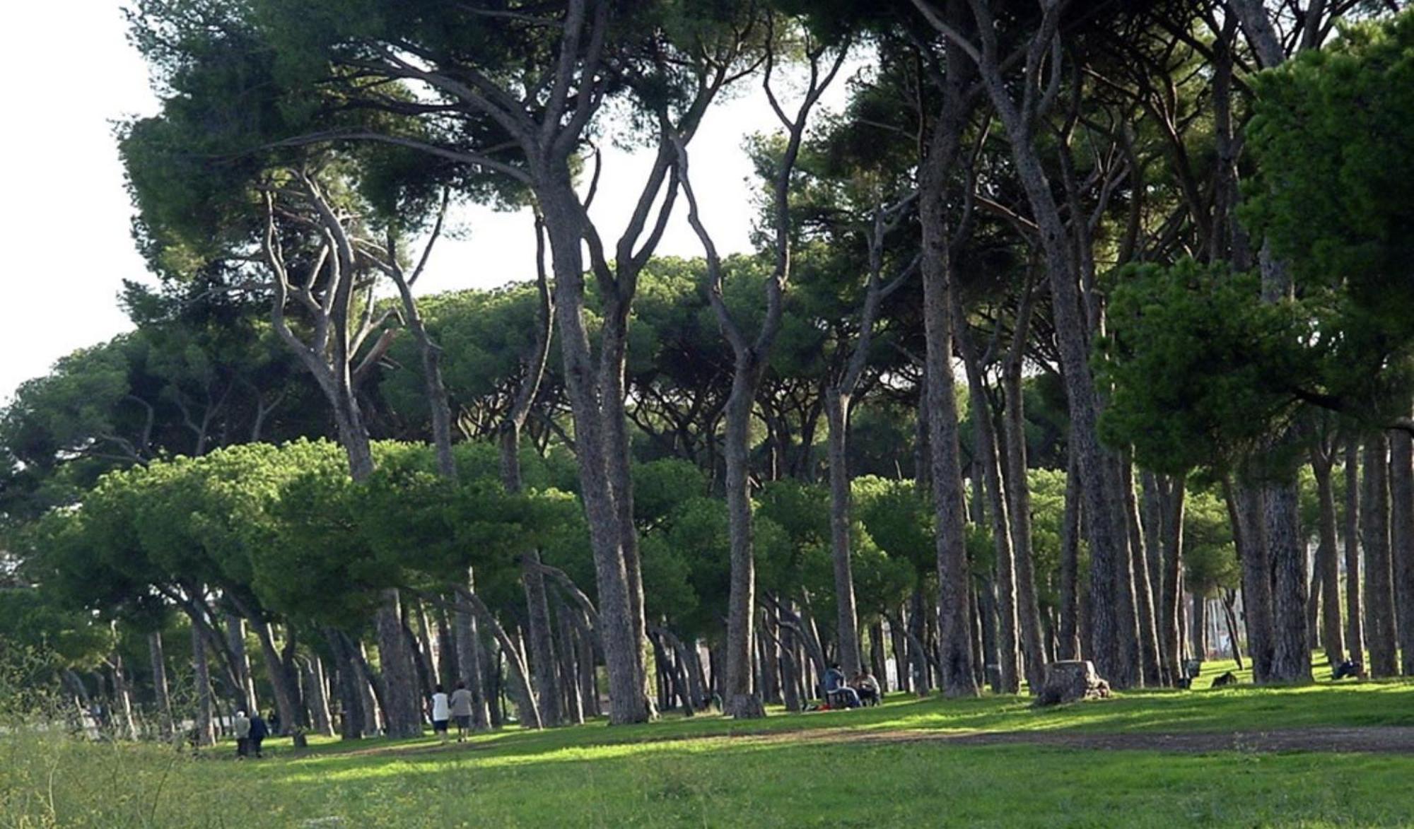 Piuma Celeste A Due Passi Dal Mare E Dal Centro Storico Lido di Ostia Kültér fotó