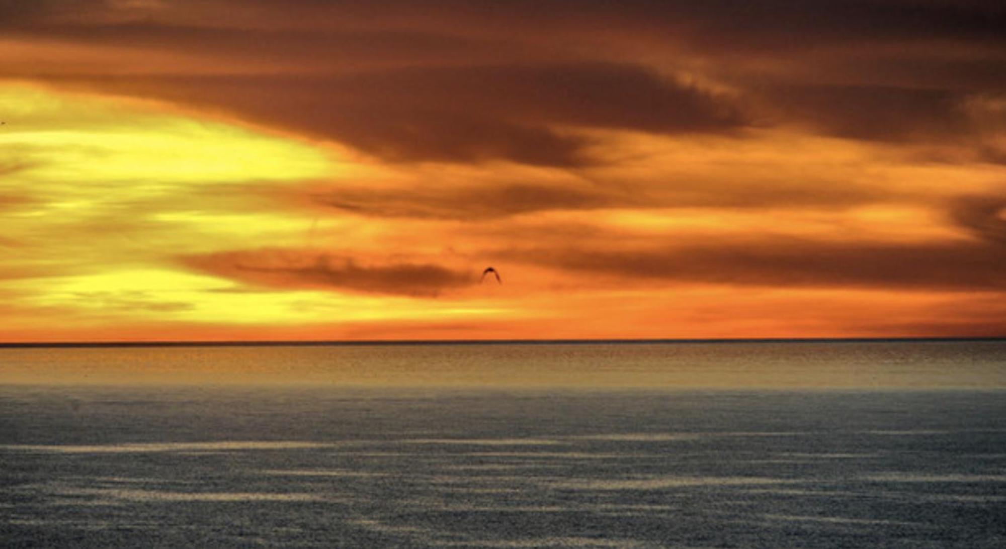 Piuma Celeste A Due Passi Dal Mare E Dal Centro Storico Lido di Ostia Kültér fotó